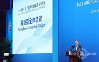 The “Road and Belt” high-level meeting has six parallel themes?